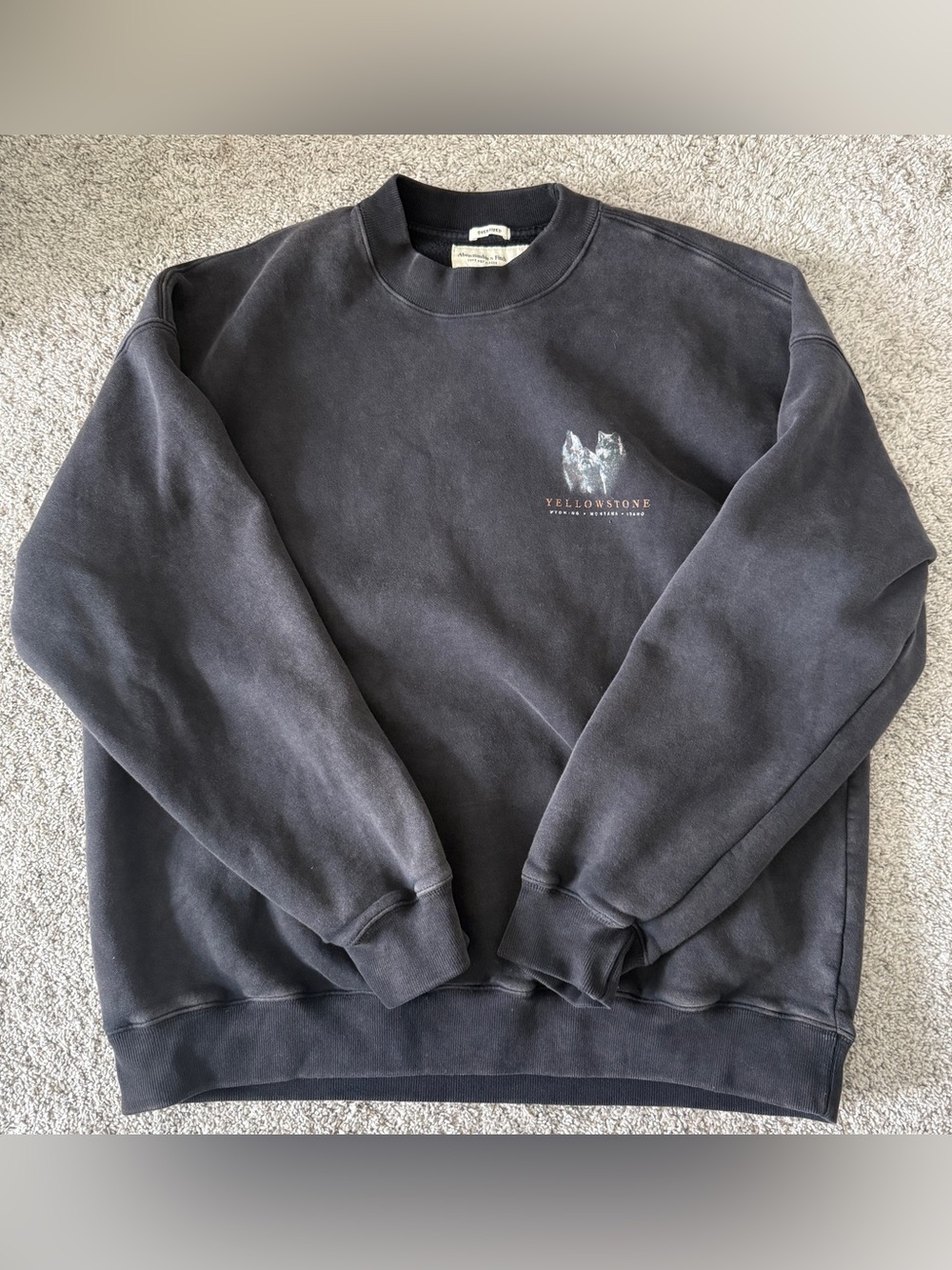 Abercrombie Soft AF Oversized Fleece Vintage Yellowstone Graphic Size Large - Picture 3 of 8